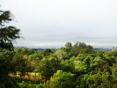 Sonnet 3* Curitiba